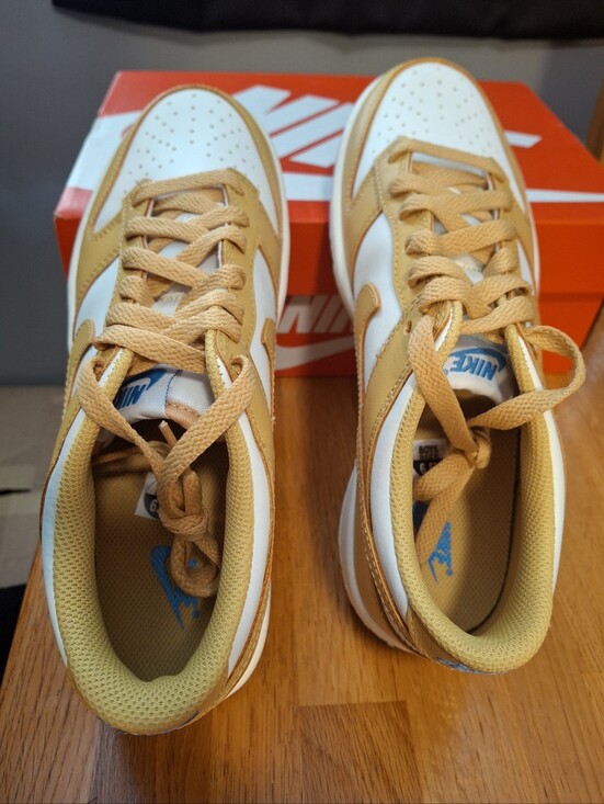 Nike Other - Nike Dunk Low ( GS)